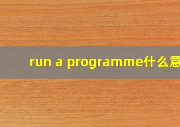 run a programme什么意思